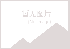 峨眉山冷漠会计有限公司